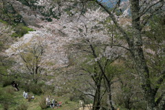 世を遁れつつなう