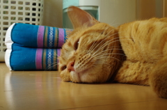 No Stress 2