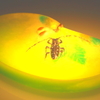 ガラスの虫
