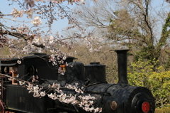 桜汽車