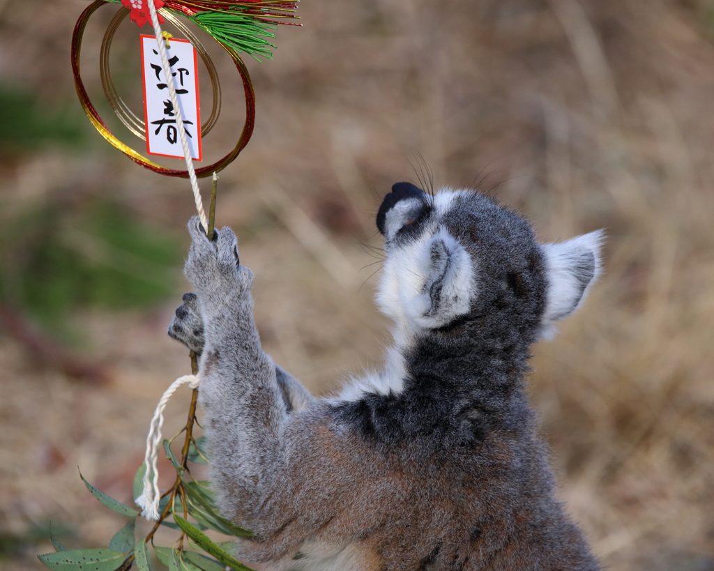 いかにも