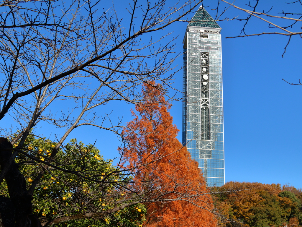 晩秋の東山