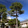 青空Ⅰ
