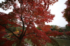 虎渓山永保寺2