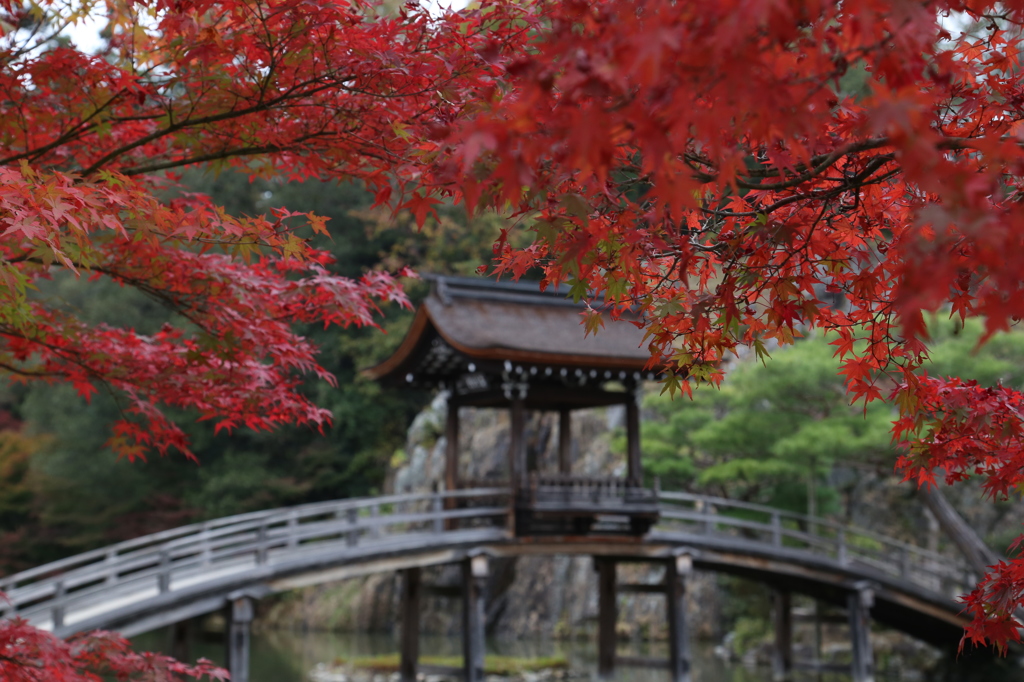 虎渓山永保寺1