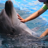 IMG_2082_信頼