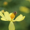 IMG_3017_虻