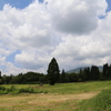 IMG_1908_高原