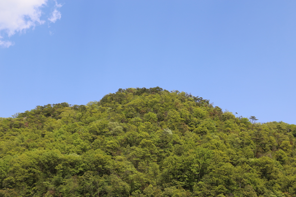 IMG_1208_山