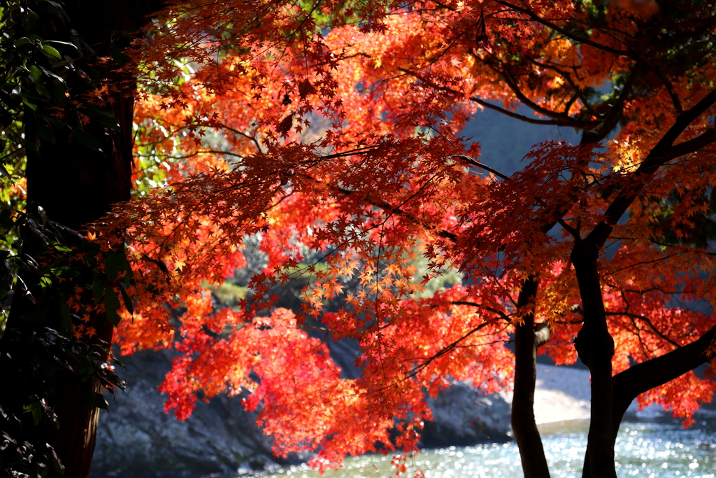 永保寺のヘ