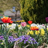 IMG_1173_花
