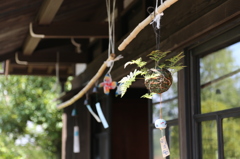 IMG_2397_風鈴