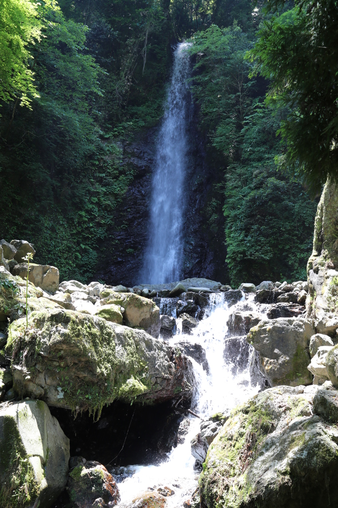 養老の滝