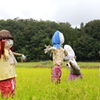 アタシが守る