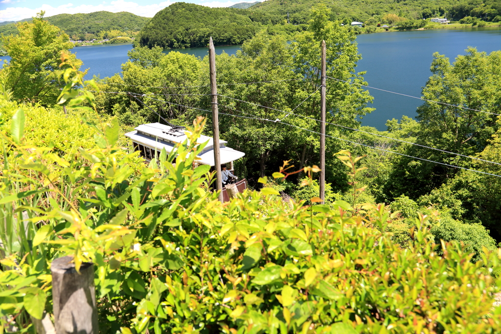 池に沿って