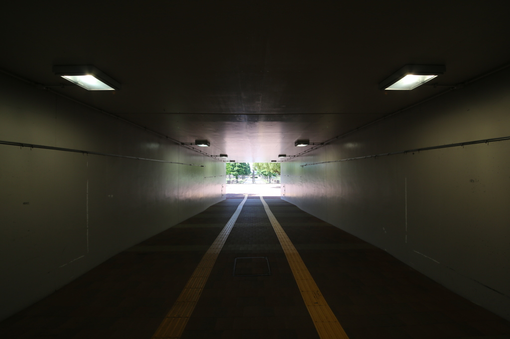 IMG_1901_通路