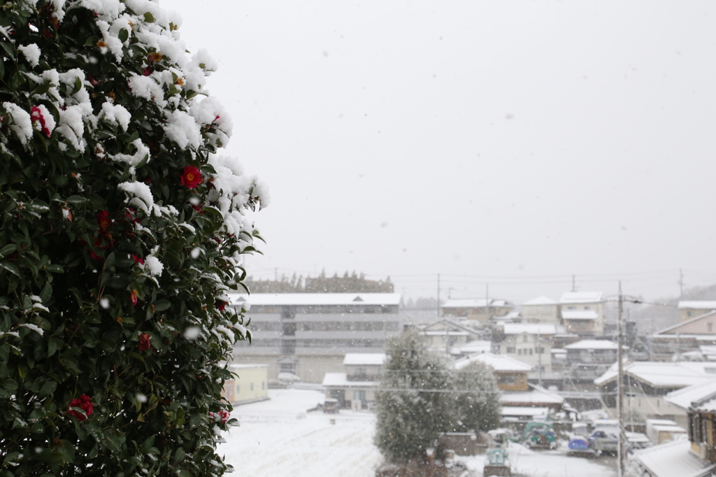 雪の元旦