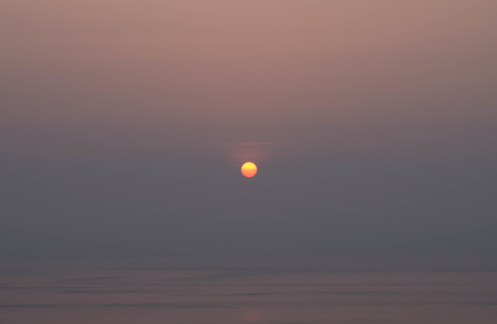 IMGP5145