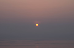 IMGP5145