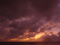 DSC00310