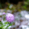 DSCF0992