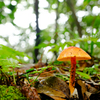 DSCF1451
