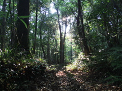IMGP0725