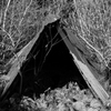 DSCF1216