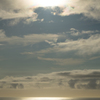 DSCF1392