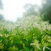 DSCF1444