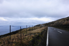 DSC00689 (1)