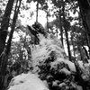 DSCF1029