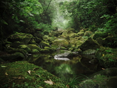 IMGP0427