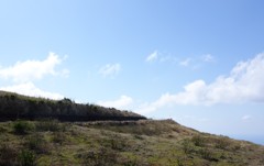 DSC00786 (2)