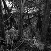 _R001405