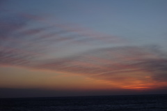 DSC00775