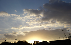 DSC00988