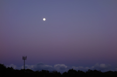 DSC00919