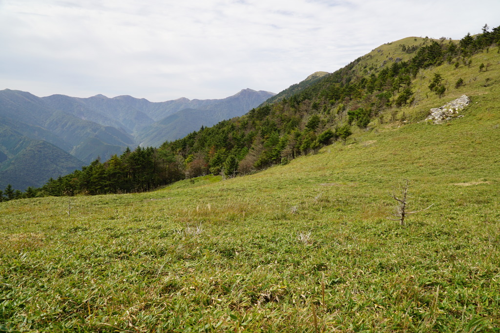 塔の丸DSC08050