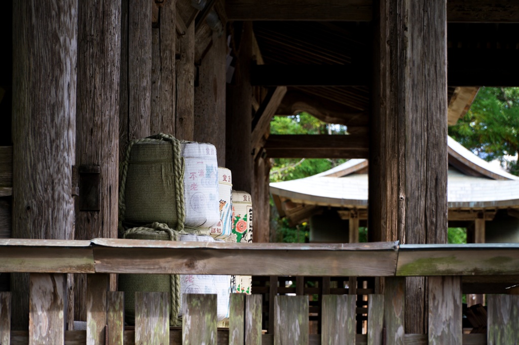 土佐神社　DSC06555