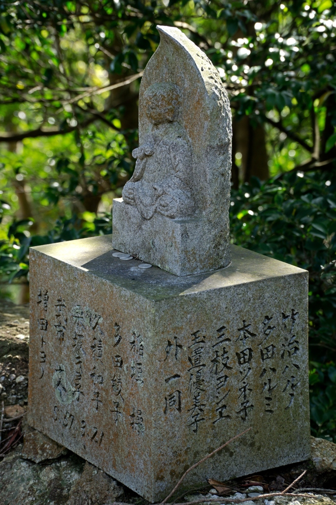 DSC02271