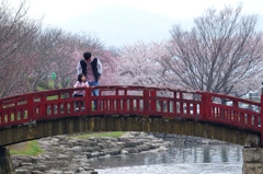 桜のある風景1