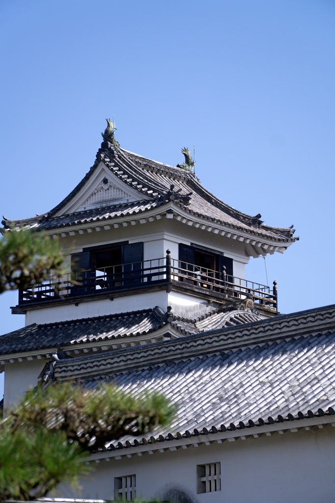 高知城　DSC06641