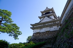高知城　DSC06616