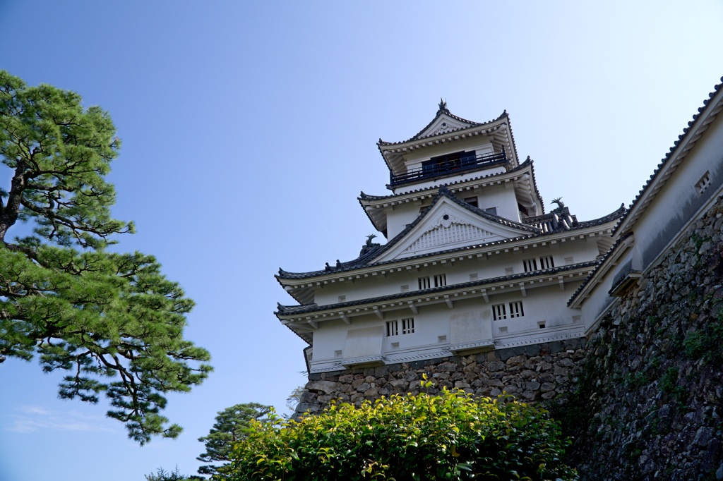 高知城　DSC06618