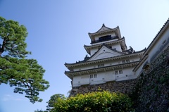 高知城　DSC06618