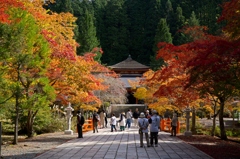 高野の色　中霊殿前