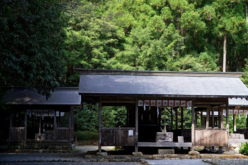 土佐神社　DSC06556