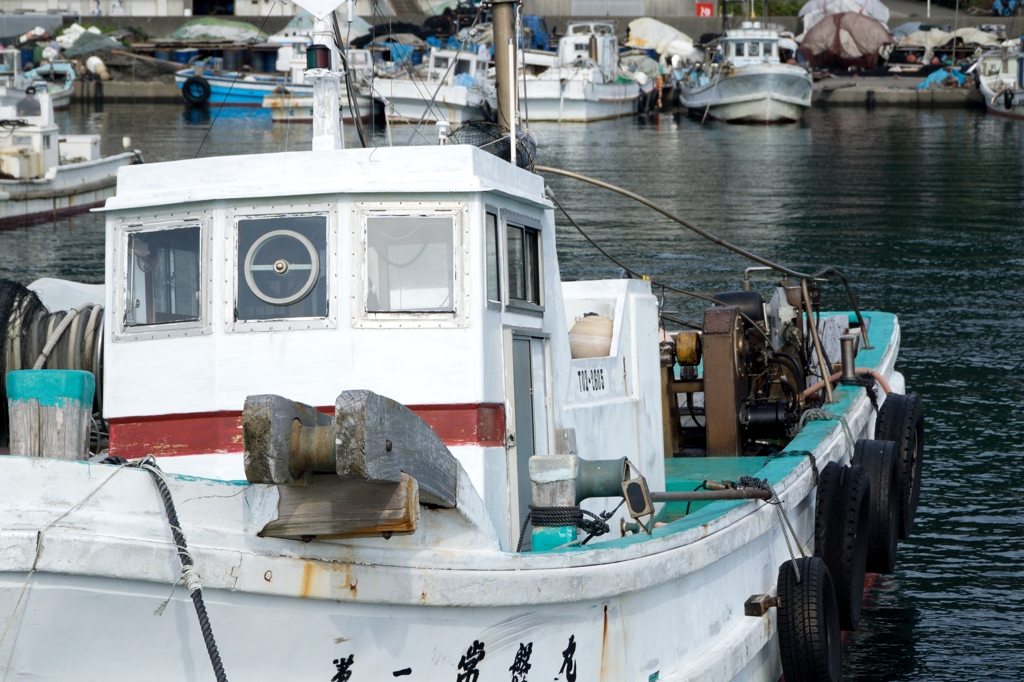 椿漁港