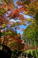 高野の色　大伽藍の道